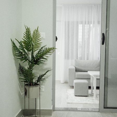 Dionis House Villa Shkoder Ngoại thất bức ảnh